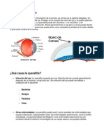 Queratitis.pdf