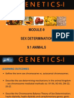 Animal Sex Determination Mechanisms