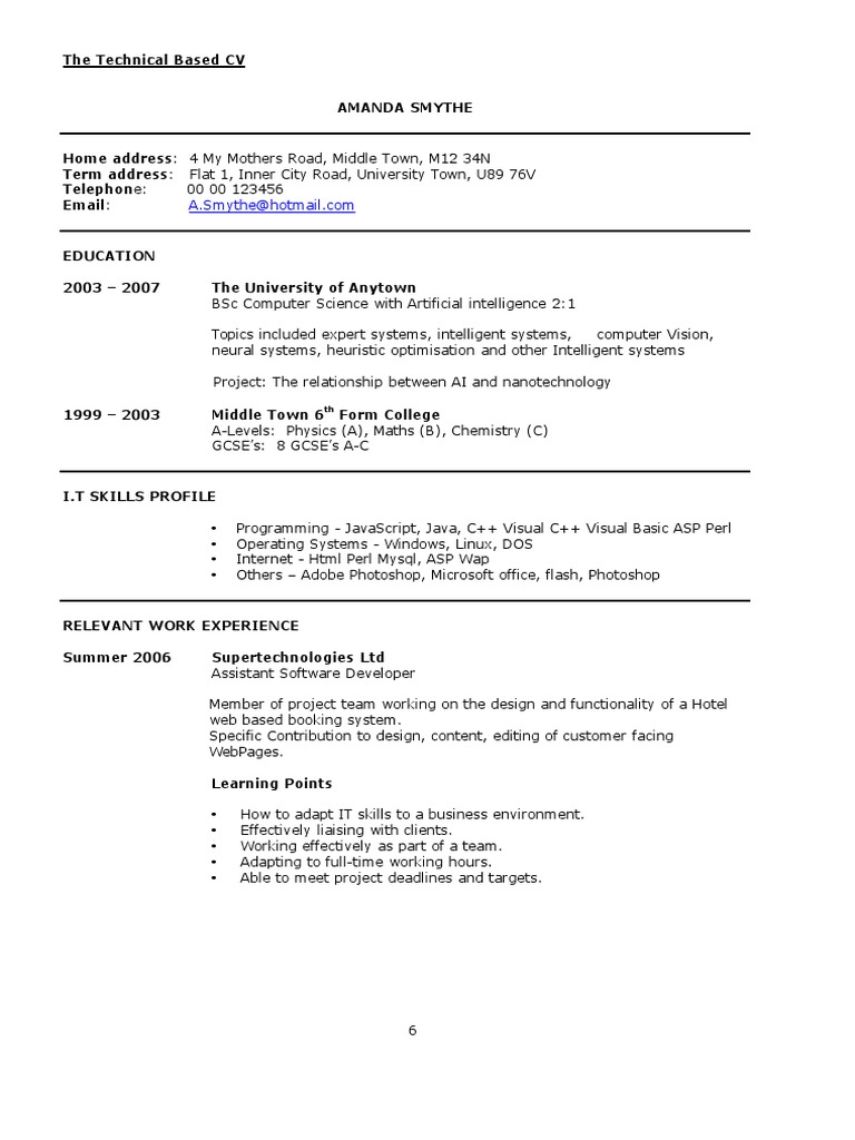 Technical Based CV | PDF | Business | Computing And Information Technology