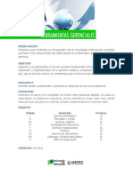 diplomado de herramientas gerenciales.pdf