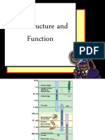 1CellStructure-3