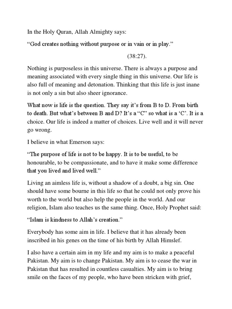 meaning of life essay