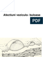 Afectiuni Veziculo-Buloase