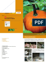 Los Frutos PDF