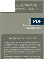 Proiect la GEOGRAFIE  TROGHIR.pptx