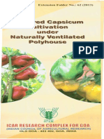 Capsicum Cultivation Under Polyhouse