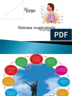 Sistema respiratorio1.ppt