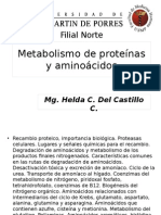 FMH_CHI_2014_Metabolismo de proteínas y aminoácidos.ppt