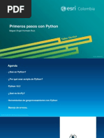 Primeros pasos con Python.pdf