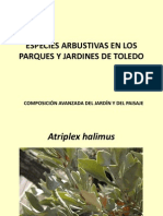 Especies Arbustivas de Los Parques y Jardines de Toledo PDF