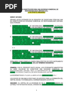 Formato de Minuta SRL efectivo.docx