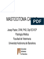 Mastocitomas PDF