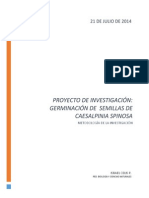 Informe Proyecto Israel Final.docx