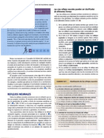 Páginas Desdesilverthorn ES 13 PDF
