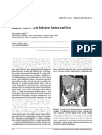 Duplex Kidney