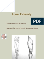 Lowerlimb Anatomy