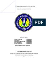 Laporan Fisiologi Tumbuhan - Priming