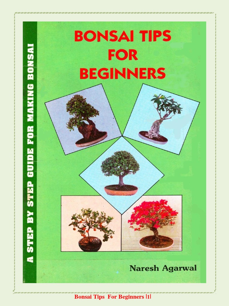 Beginner's Guide to Bonsai Techniques | PDF | Bonsai | Fertilizer