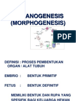 09 Organogenesis