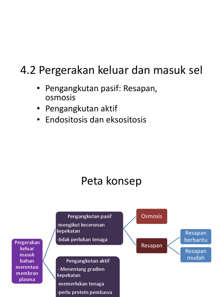 4 2 Pengangkutan Keluar Masuk Sel Pdf