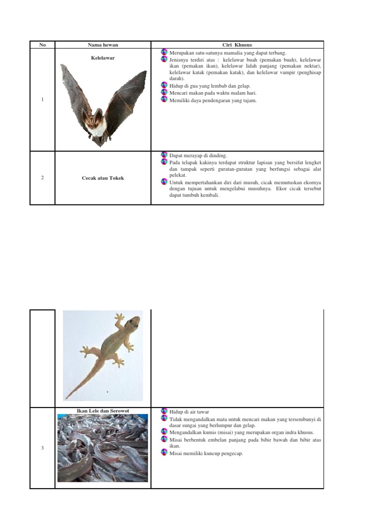 Tugas Annisa Alya Prisila Pdf