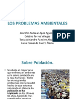 LOS PROBLEMAS AMBIENTALES Diapositivas Emprendimiento Tirson