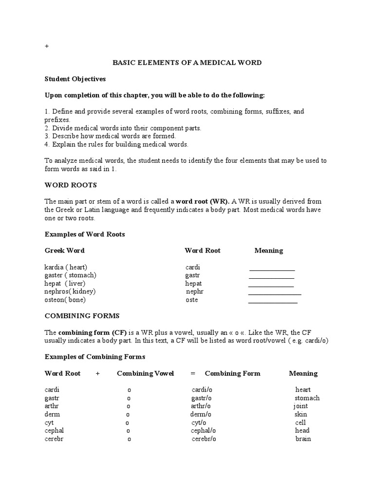 Medical Word Elements Explained | PDF | Bone | Epithelium