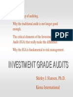 Investment Audit