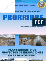 PLANTEAMIENTO-DE-PROYECTOS-DE-IRRIGACIONES-EN-LA-REGION-PUNO.pdf