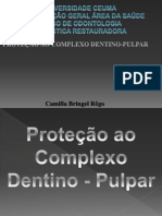 Proteção Do Complexo Dentino-Pulpar