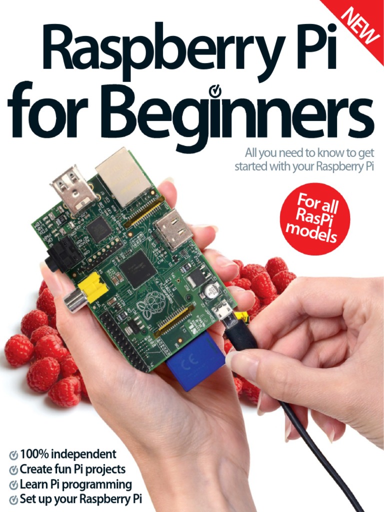 Raspberry Pi Mpeg 2 Crack Minds