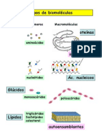 biomoleculas.pdf