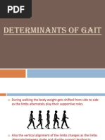 Phases and Biomechanics of Gait | PDF | Foot | Anatomical Terms Of Motion