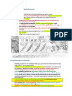 2- Principios básicos de la herencia.docx