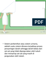 Sistem Urinaria tgs 1.pptx