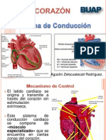 CORAZONEXPO