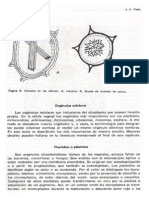 libro de valla parte 02.pdf