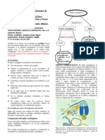 2010TEJIDO_CARTILAGINOSO.pdf