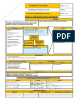 CaracterizacionSI PDF