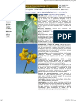 Lotus Corniculatus Lam PDF