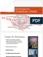 Dubai'S Financial Crisis: Credit Management