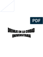 DRENAJE CIUDAD.docx