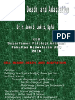 Cell Injury - Fk - Jsl Kbk