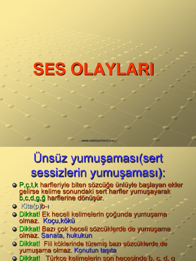 Ses Olaylari