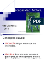 Discapacidad Motora 2014, Solo P.C