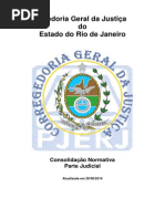cncgj-judicial.pdf