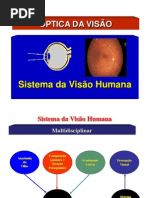 Aula de ÓPTICA DA VISÃO PDF