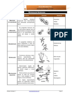 Informativa5 - Reprodução Assexuada PDF