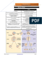 Informativa7 - Mitose e Meiose PDF