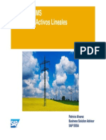 Activos Lineales en SAP PM PDF